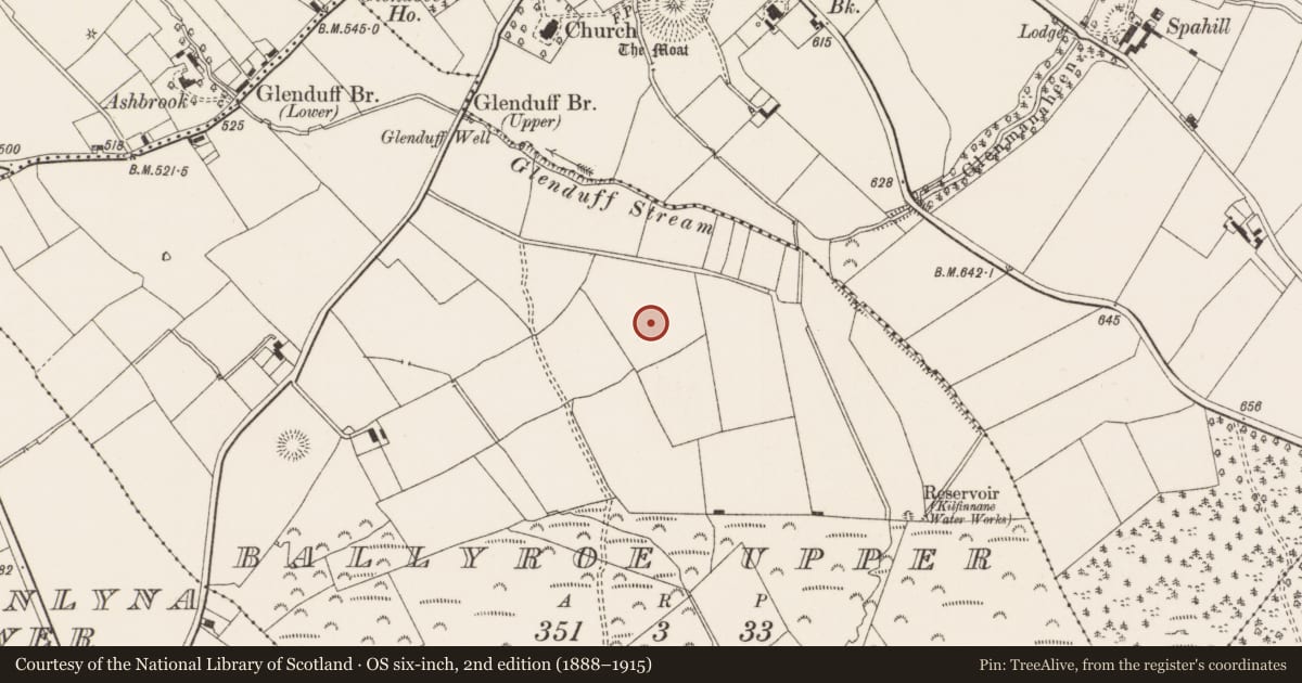 Ordnance Survey six-inch map, 2nd edition (1888–1915) covering the location of Standing stone, Ballyroe Upper, County Limerick, with a pin at the register's coordinates