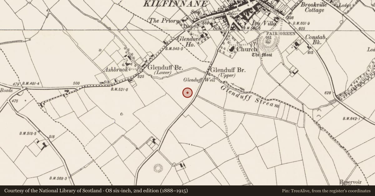Ordnance Survey six-inch map, 2nd edition (1888–1915) covering the location of Standing stone, Ballyroe Upper, County Limerick, with a pin at the register's coordinates