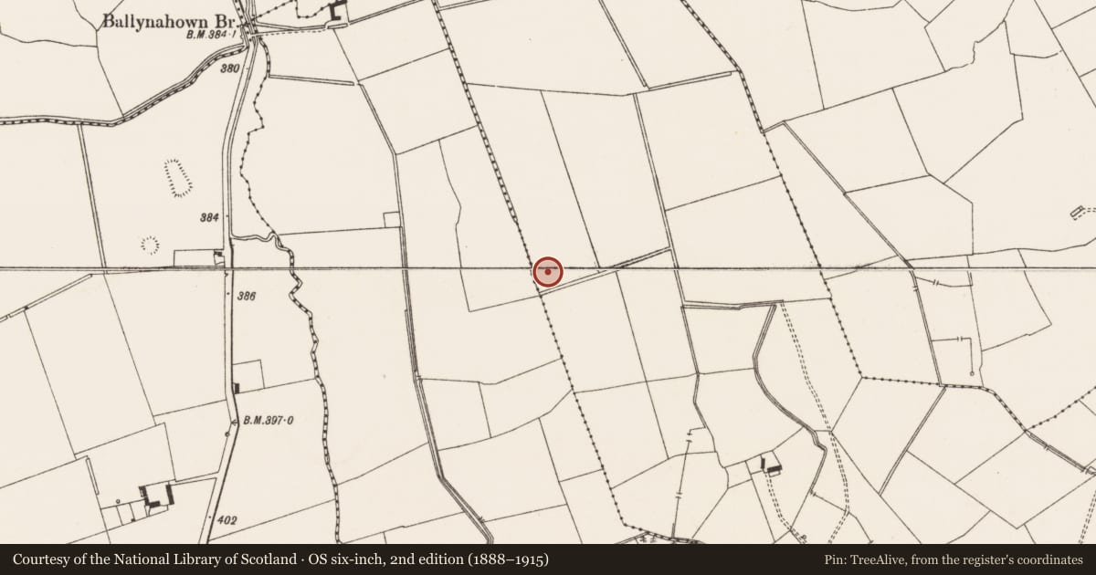 Ordnance Survey six-inch map, 2nd edition (1888–1915) covering the location of Enclosure, Mortlestown, County Limerick, with a pin at the register's coordinates