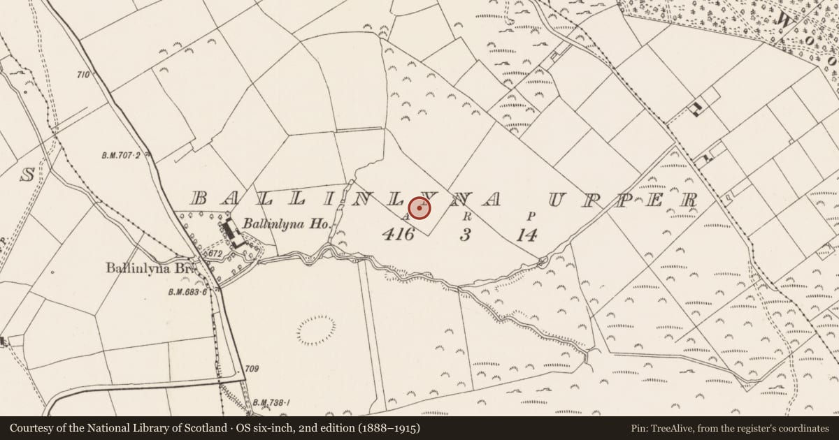 Ordnance Survey six-inch map, 2nd edition (1888–1915) covering the location of Standing stone, Ballinlyna Upper, County Limerick, with a pin at the register's coordinates