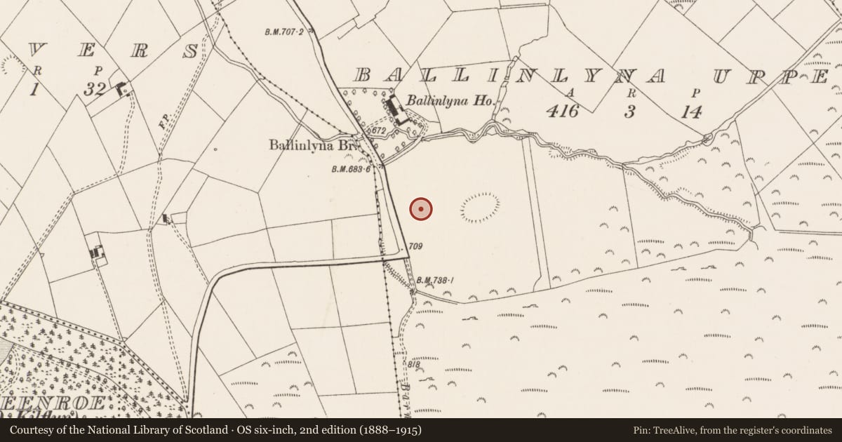 Ordnance Survey six-inch map, 2nd edition (1888–1915) covering the location of Standing stone, Ballinlyna Upper, County Limerick, with a pin at the register's coordinates