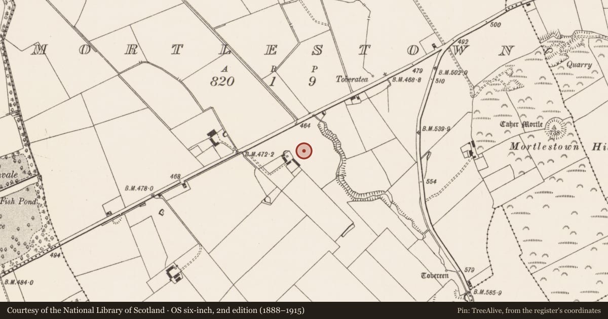 Ordnance Survey six-inch map, 2nd edition (1888–1915) covering the location of Standing stone, Mortlestown, County Limerick, with a pin at the register's coordinates