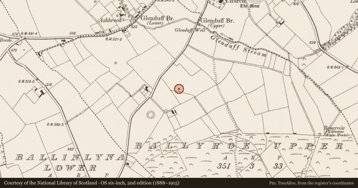 Ordnance Survey six-inch map, 2nd edition (1888–1915) covering the location of Standing stone, Ballyroe Upper, County Limerick, with a pin at the register's coordinates