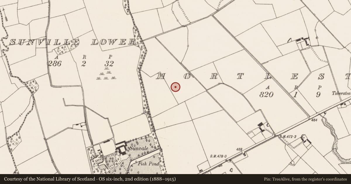 Ordnance Survey six-inch map, 2nd edition (1888–1915) covering the location of Ring-ditch, Mortlestown, County Limerick, with a pin at the register's coordinates
