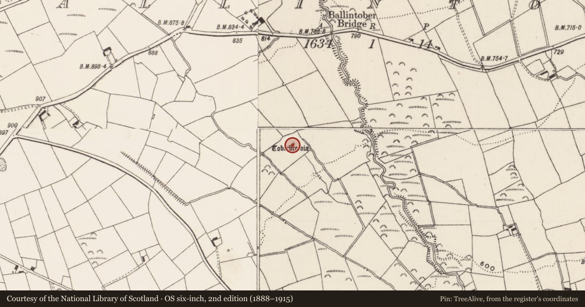 Ordnance Survey six-inch map, 2nd edition (1888–1915) covering the location of Ritual site - holy well, Ballintober, County Limerick, with a pin at the register's coordinates