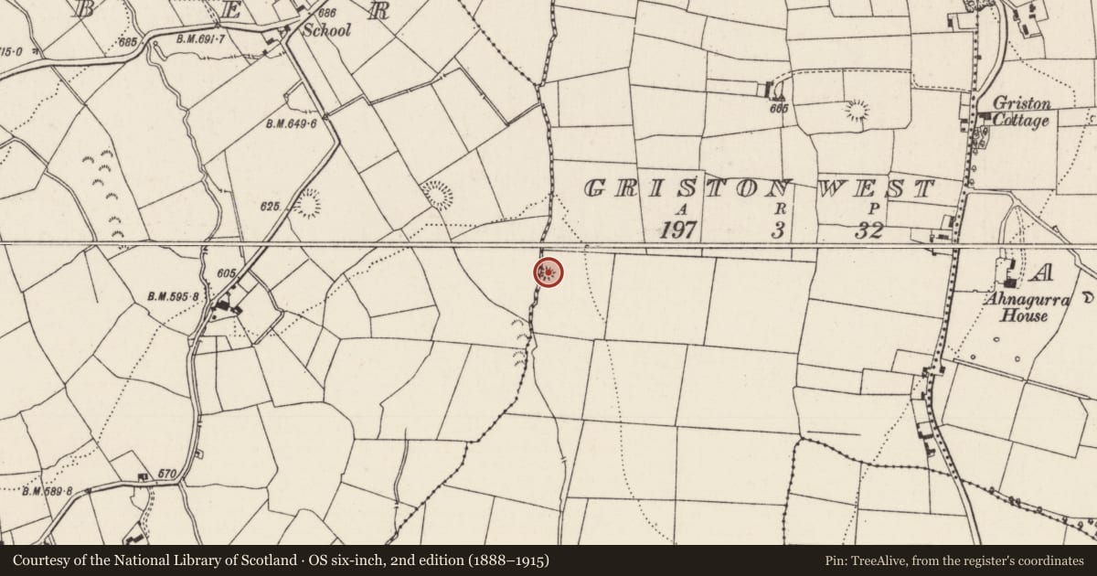 Ordnance Survey six-inch map, 2nd edition (1888–1915) covering the location of Earthwork, Griston West, County Limerick, with a pin at the register's coordinates