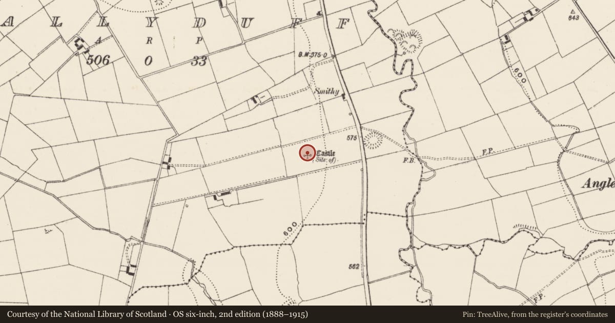Ordnance Survey six-inch map, 2nd edition (1888–1915) covering the location of Castle - unclassified, Ballyduff, County Limerick, with a pin at the register's coordinates