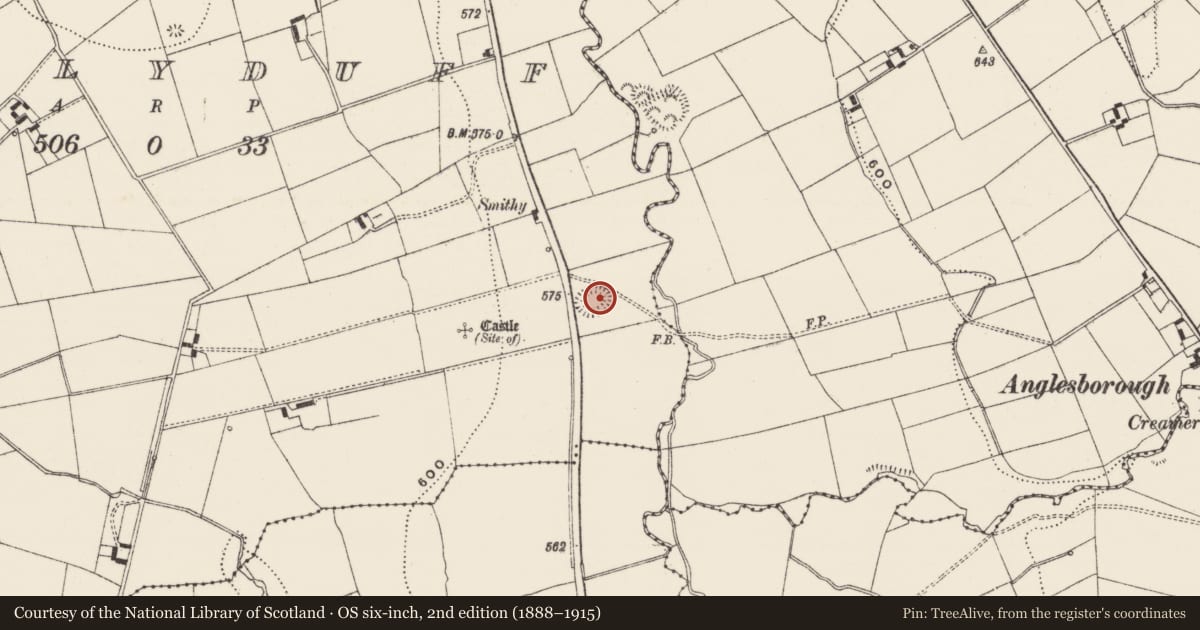Ordnance Survey six-inch map, 2nd edition (1888–1915) covering the location of Ringfort - rath, Ballyduff, County Limerick, with a pin at the register's coordinates