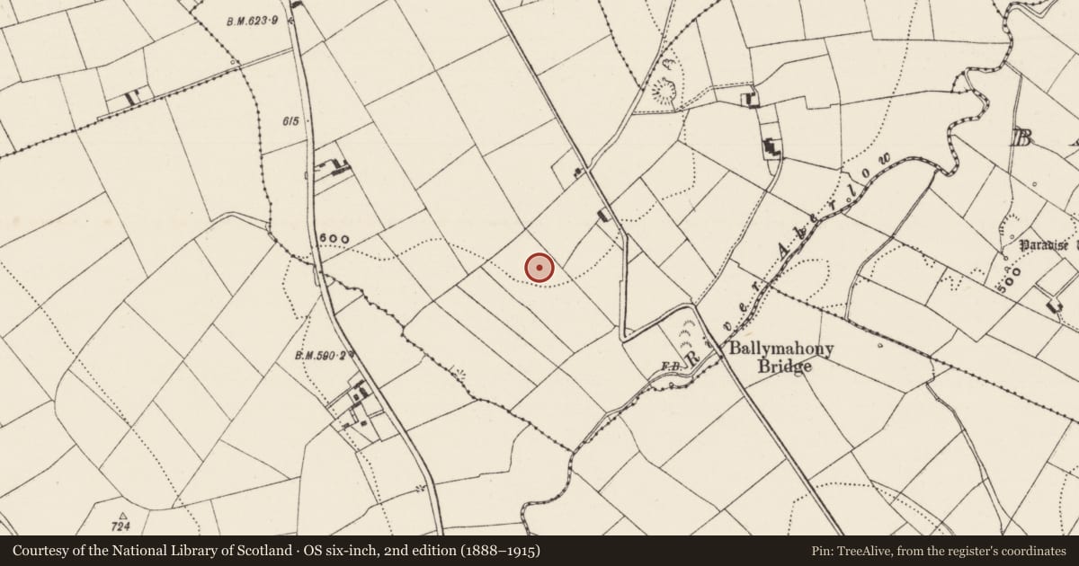 Ordnance Survey six-inch map, 2nd edition (1888–1915) covering the location of Moated site, Ballyfauskeen, County Limerick, with a pin at the register's coordinates