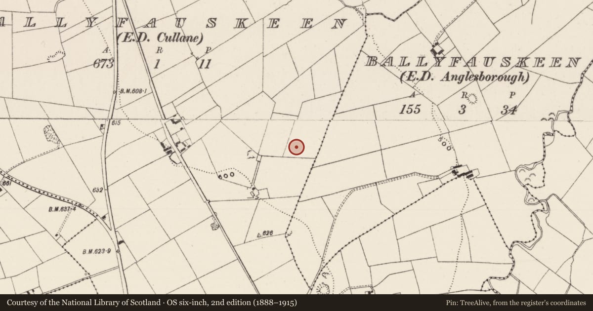 Ordnance Survey six-inch map, 2nd edition (1888–1915) covering the location of Barrow - unclassified, Ballyfauskeen, County Limerick, with a pin at the register's coordinates