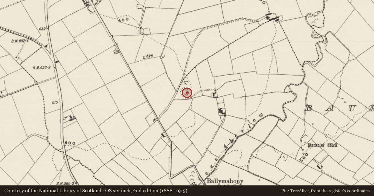 Ordnance Survey six-inch map, 2nd edition (1888–1915) covering the location of Ringfort - rath, Ballyfauskeen, County Limerick, with a pin at the register's coordinates