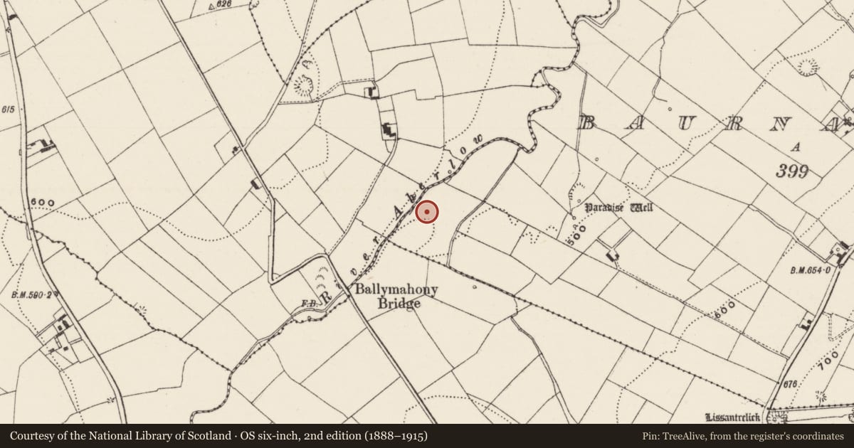 Ordnance Survey six-inch map, 2nd edition (1888–1915) covering the location of Earthwork, Baurnagurrahy, County Limerick, with a pin at the register's coordinates