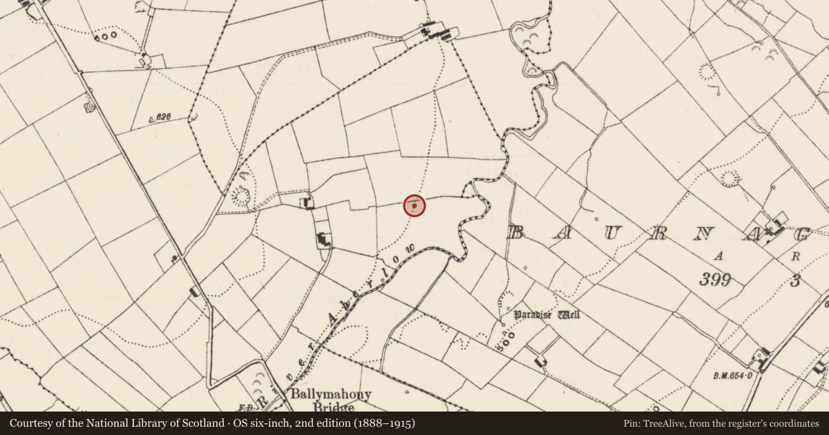 Ordnance Survey six-inch map, 2nd edition (1888–1915) covering the location of Barrow - unclassified, Ballyfauskeen, County Limerick, with a pin at the register's coordinates