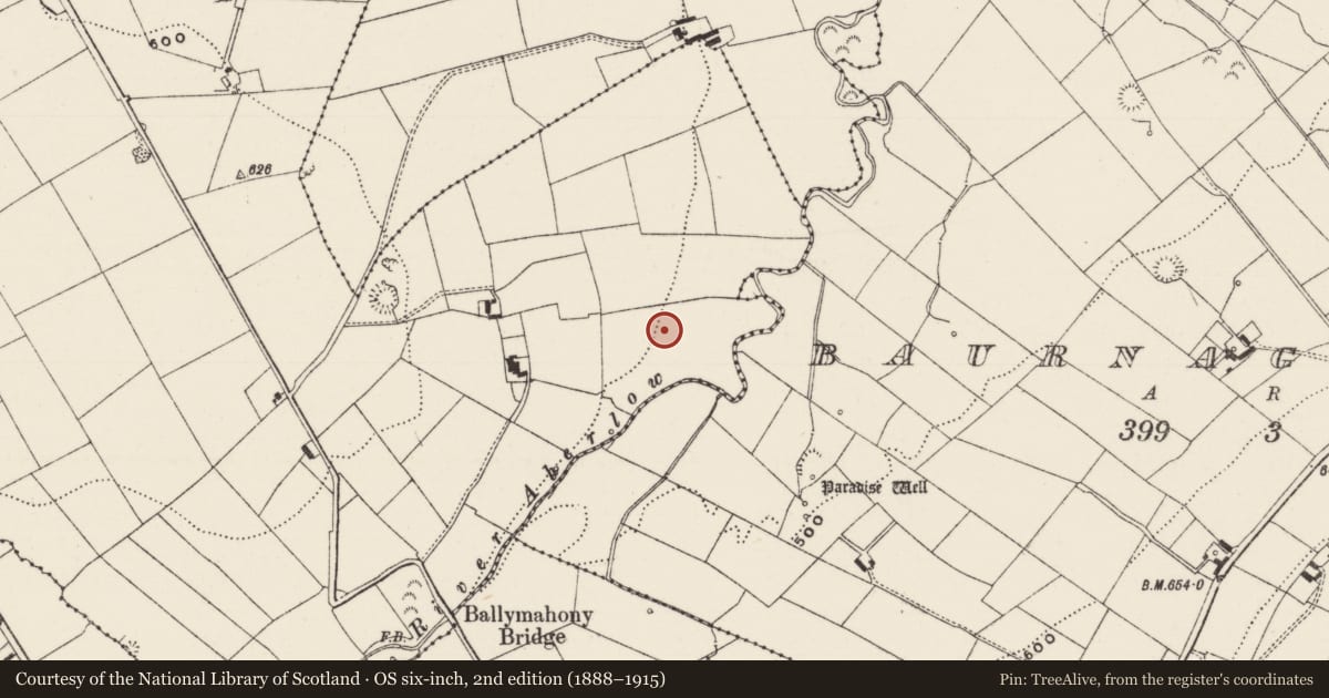 Ordnance Survey six-inch map, 2nd edition (1888–1915) covering the location of Barrow - unclassified, Ballyfauskeen, County Limerick, with a pin at the register's coordinates