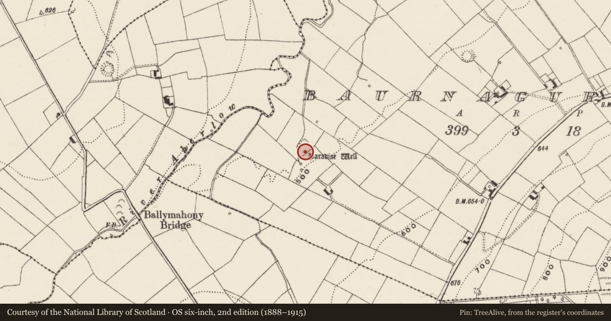 Ordnance Survey six-inch map, 2nd edition (1888–1915) covering the location of Ritual site - holy well, Baurnagurrahy, County Limerick, with a pin at the register's coordinates
