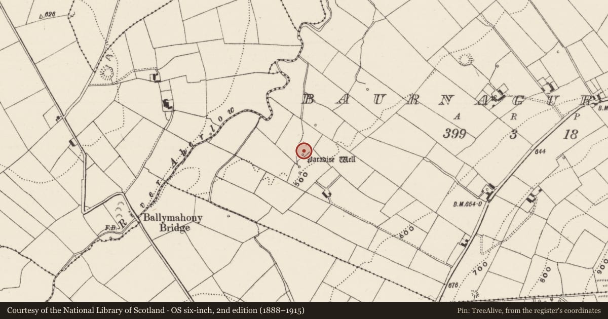 Ordnance Survey six-inch map, 2nd edition (1888–1915) covering the location of Earthwork, Baurnagurrahy, County Limerick, with a pin at the register's coordinates