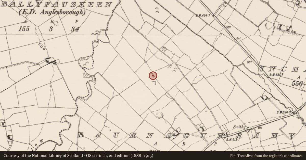 Ordnance Survey six-inch map, 2nd edition (1888–1915) covering the location of Earthwork, Baurnagurrahy, County Limerick, with a pin at the register's coordinates
