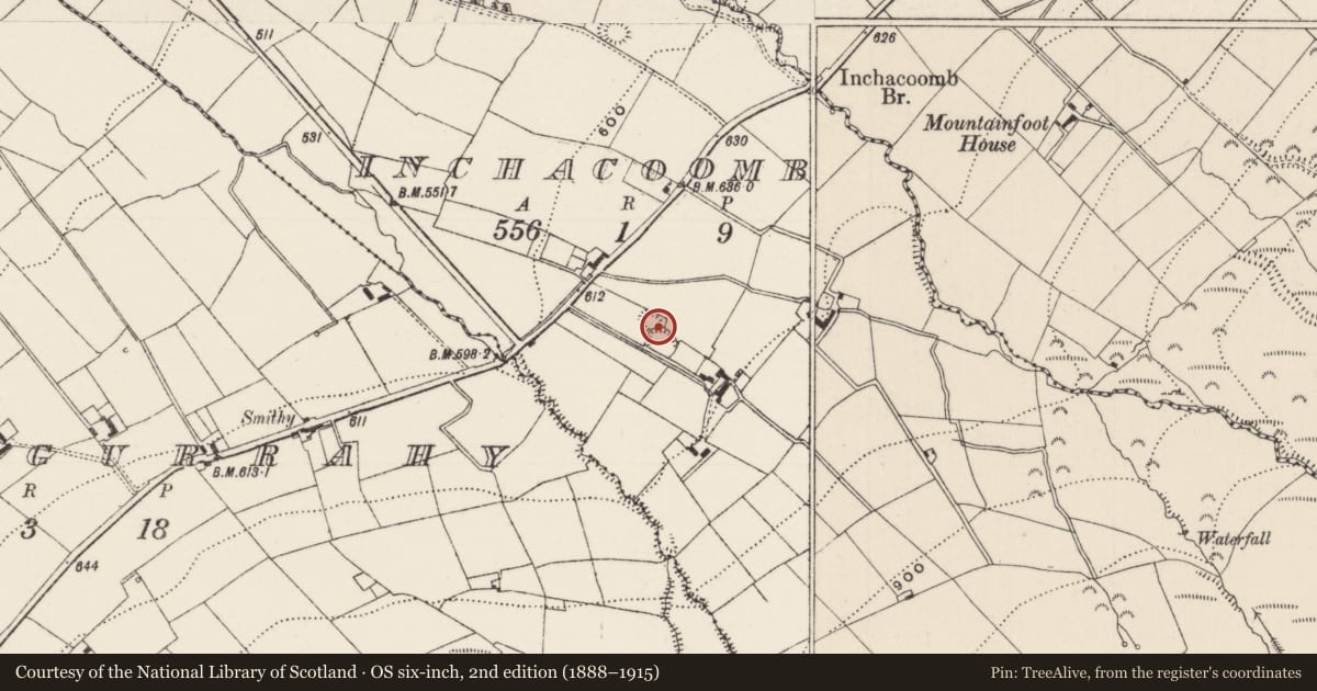 Ordnance Survey six-inch map, 2nd edition (1888–1915) covering the location of Enclosure, Inchacoomb, County Limerick, with a pin at the register's coordinates