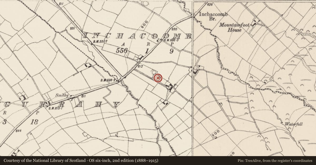 Ordnance Survey six-inch map, 2nd edition (1888–1915) covering the location of Enclosure, Inchacoomb, County Limerick, with a pin at the register's coordinates