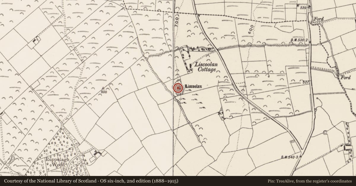 Ordnance Survey six-inch map, 2nd edition (1888–1915) covering the location of Ringfort - rath, Ruppulagh, County Limerick, with a pin at the register's coordinates