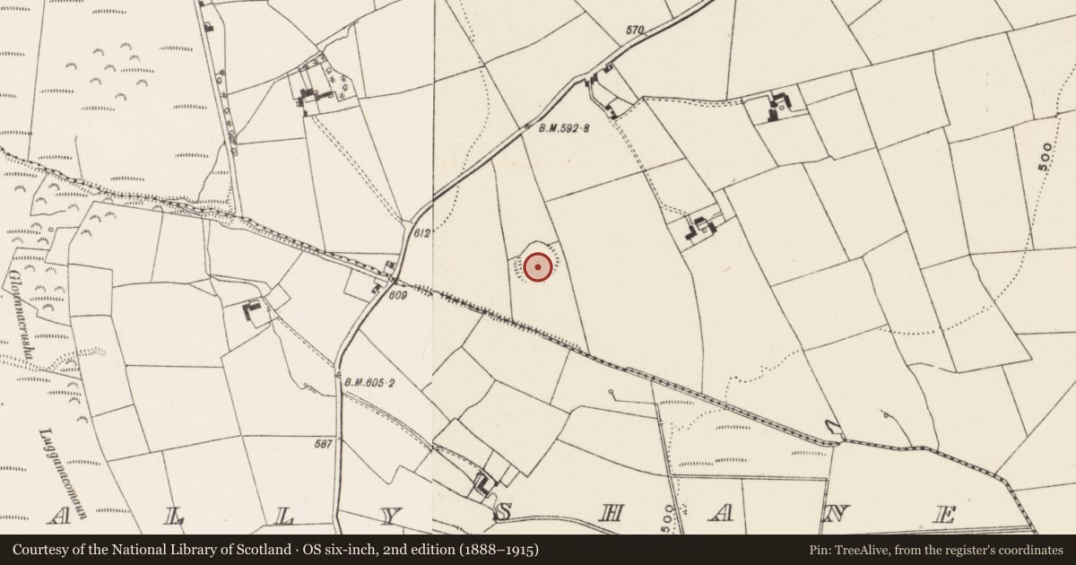 Ordnance Survey six-inch map, 2nd edition (1888–1915) covering the location of Ringfort - rath, Ruppulagh, County Limerick, with a pin at the register's coordinates