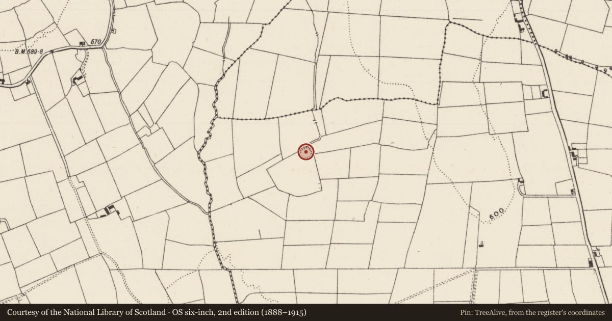 Ordnance Survey six-inch map, 2nd edition (1888–1915) covering the location of Ringfort - rath, Kilgarriff, County Limerick, with a pin at the register's coordinates