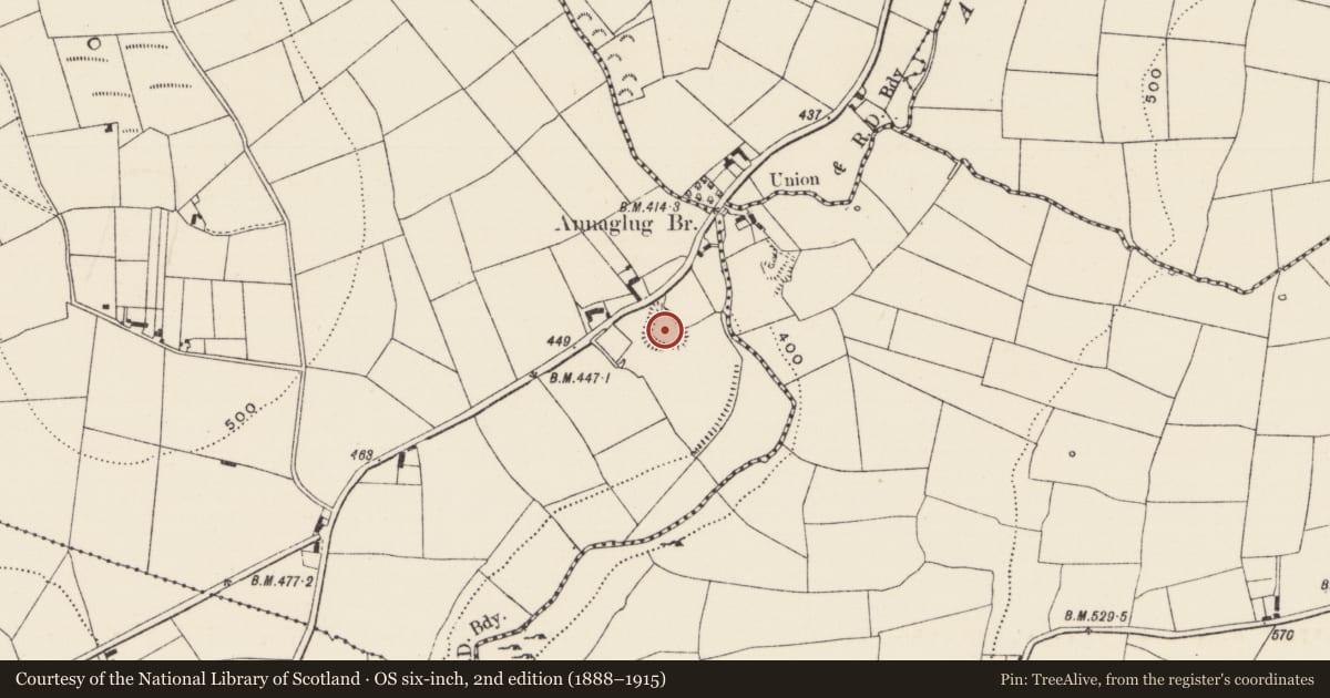 Ordnance Survey six-inch map, 2nd edition (1888–1915) covering the location of Ringfort - rath, Ballyfeerode, County Limerick, with a pin at the register's coordinates