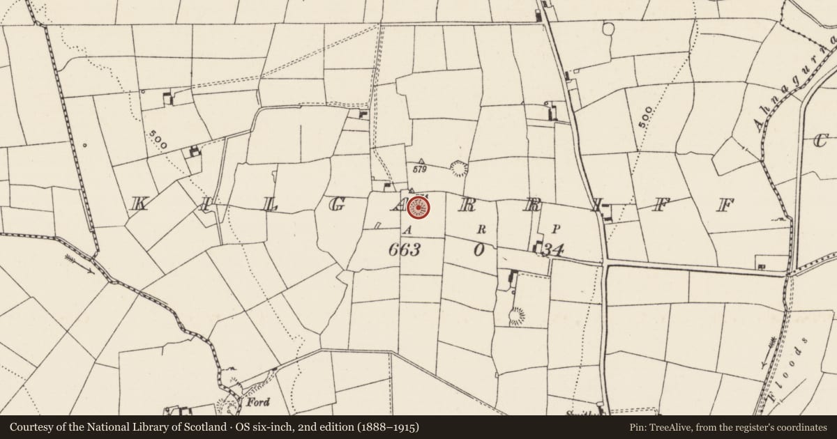 Ordnance Survey six-inch map, 2nd edition (1888–1915) covering the location of Ringfort - rath, Kilgarriff, County Limerick, with a pin at the register's coordinates