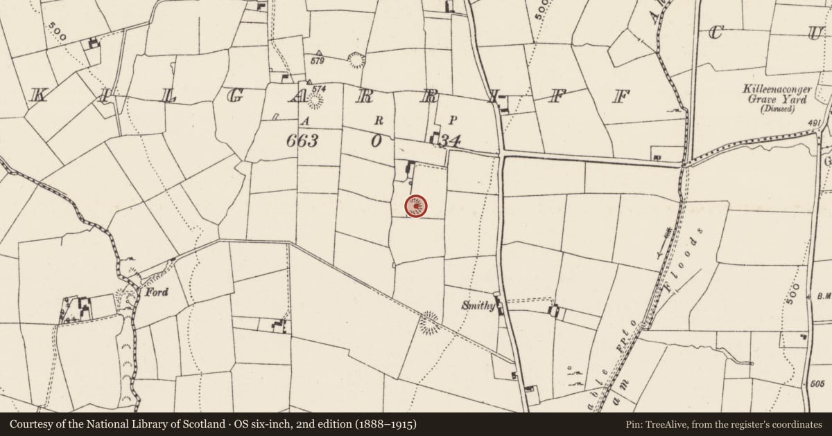 Ordnance Survey six-inch map, 2nd edition (1888–1915) covering the location of Ringfort - rath, Kilgarriff, County Limerick, with a pin at the register's coordinates