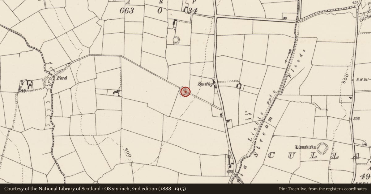 Ordnance Survey six-inch map, 2nd edition (1888–1915) covering the location of Earthwork, Kilgarriff, County Limerick, with a pin at the register's coordinates