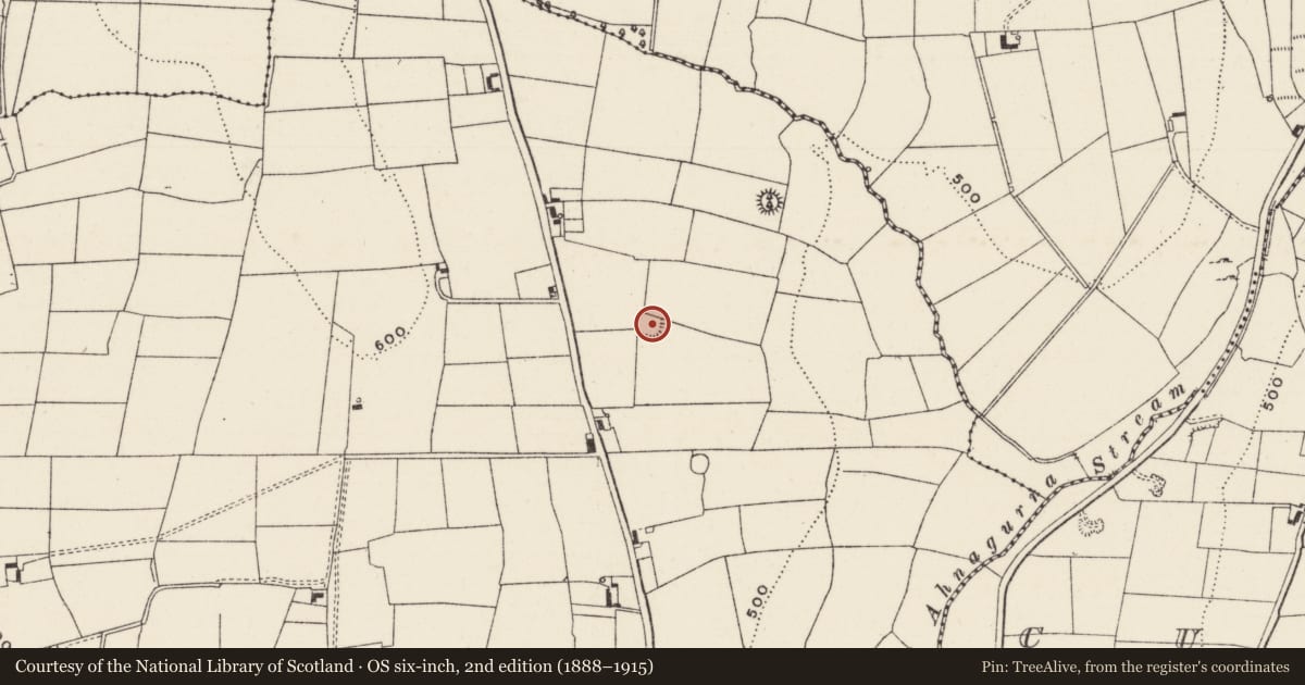 Ordnance Survey six-inch map, 2nd edition (1888–1915) covering the location of Earthwork, Kilgarriff, County Limerick, with a pin at the register's coordinates