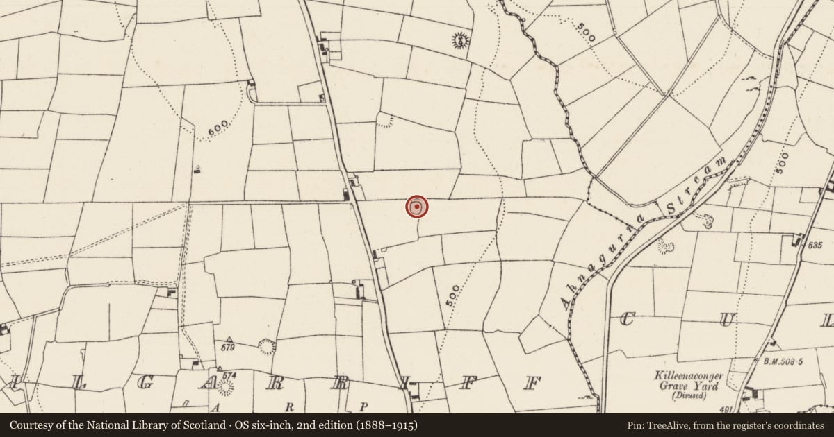 Ordnance Survey six-inch map, 2nd edition (1888–1915) covering the location of Earthwork, Kilgarriff, County Limerick, with a pin at the register's coordinates
