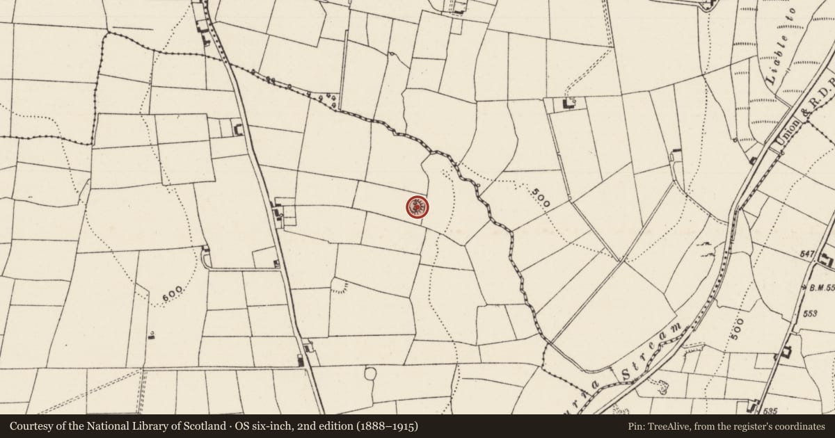 Ordnance Survey six-inch map, 2nd edition (1888–1915) covering the location of Earthwork, Kilgarriff, County Limerick, with a pin at the register's coordinates