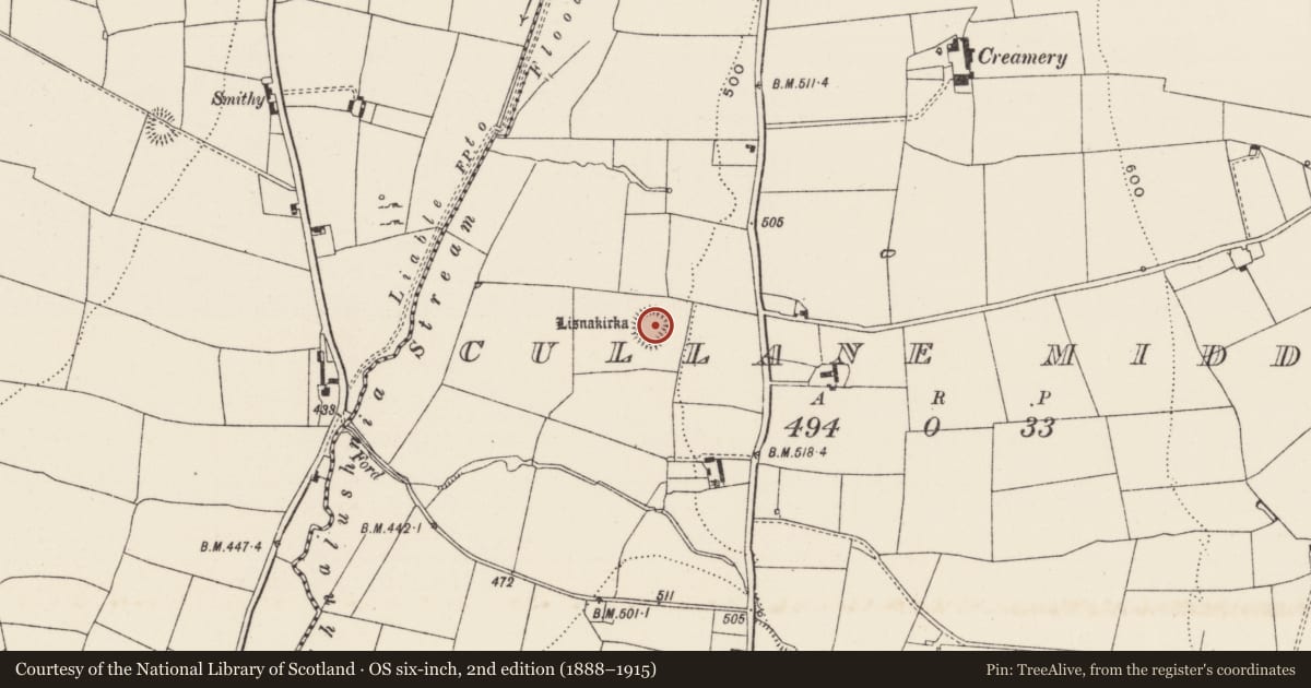 Ordnance Survey six-inch map, 2nd edition (1888–1915) covering the location of Ringfort - rath, Cullane Middle, County Limerick, with a pin at the register's coordinates