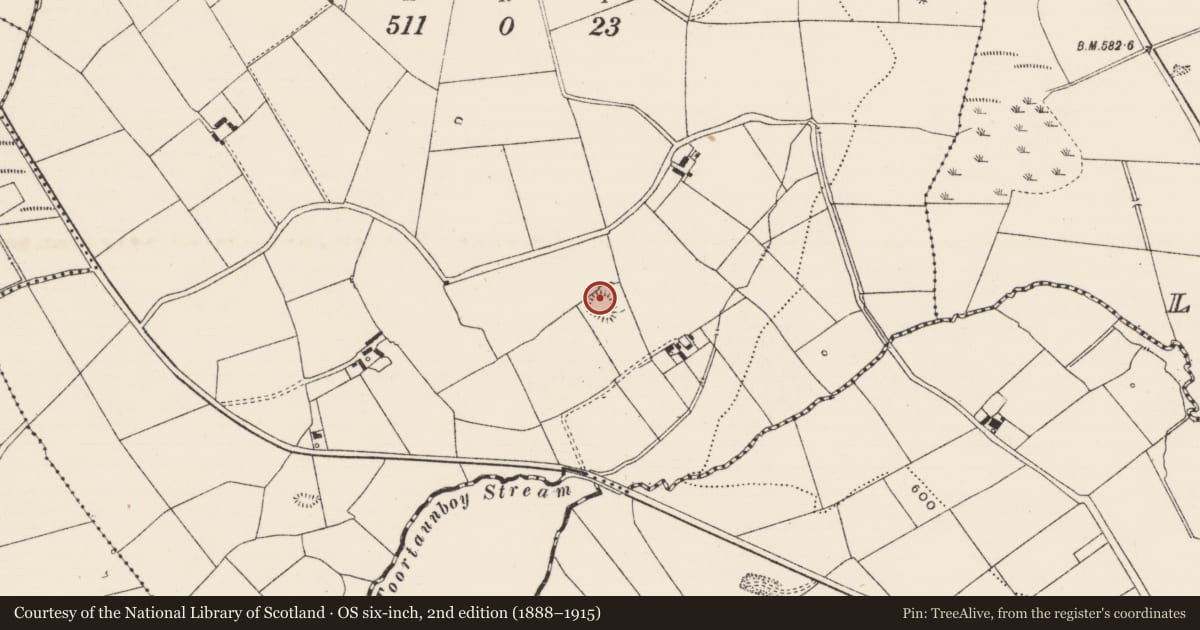 Ordnance Survey six-inch map, 2nd edition (1888–1915) covering the location of Earthwork, Ballybrien, County Limerick, with a pin at the register's coordinates