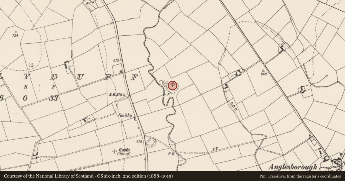 Ordnance Survey six-inch map, 2nd edition (1888–1915) covering the location of Enclosure, Anglesborough, County Limerick, with a pin at the register's coordinates