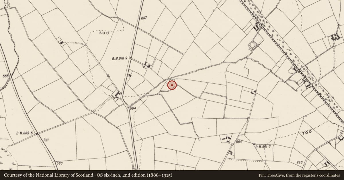Ordnance Survey six-inch map, 2nd edition (1888–1915) covering the location of Earthwork, Lackendarragh, County Limerick, with a pin at the register's coordinates
