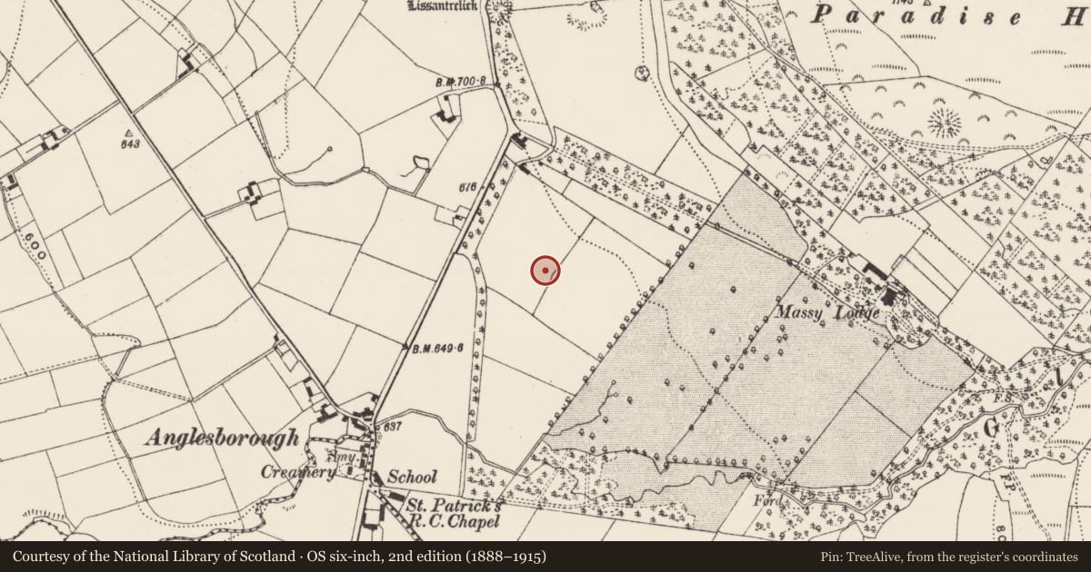 Ordnance Survey six-inch map, 2nd edition (1888–1915) covering the location of Designed landscape - tree-ring, Anglesborough, County Limerick, with a pin at the register's coordinates