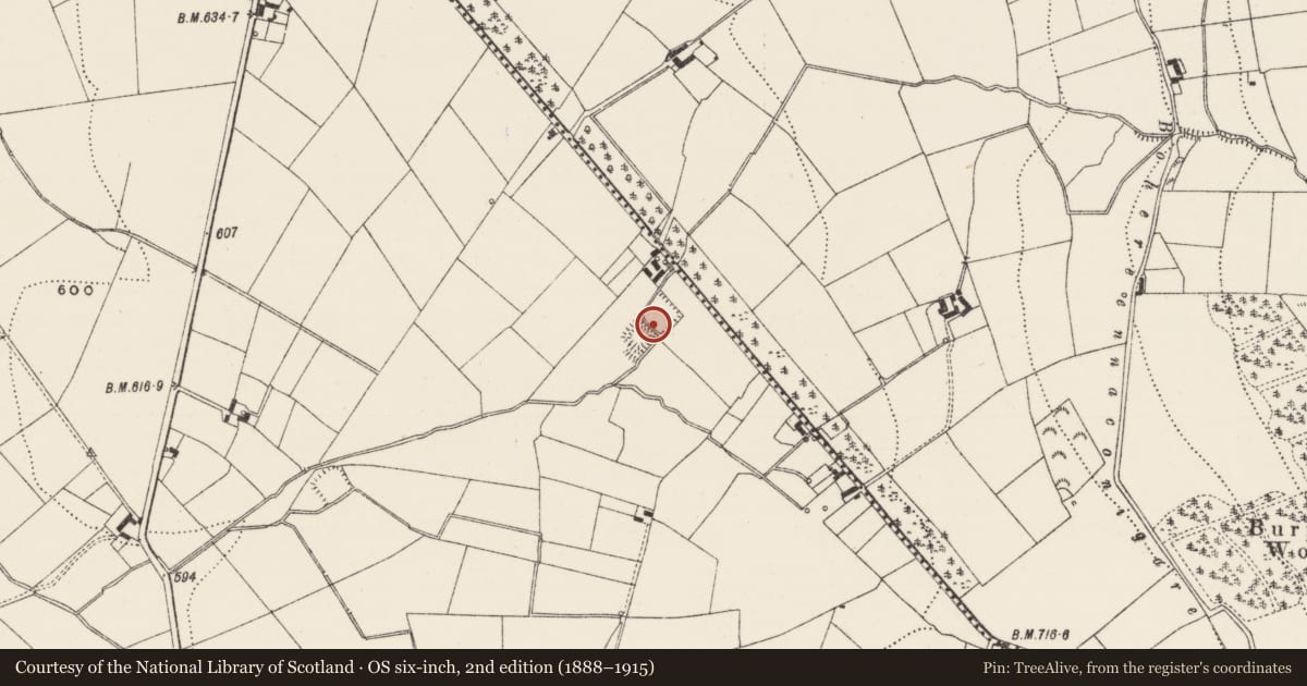 Ordnance Survey six-inch map, 2nd edition (1888–1915) covering the location of Moated site, Lackendarragh, County Limerick, with a pin at the register's coordinates