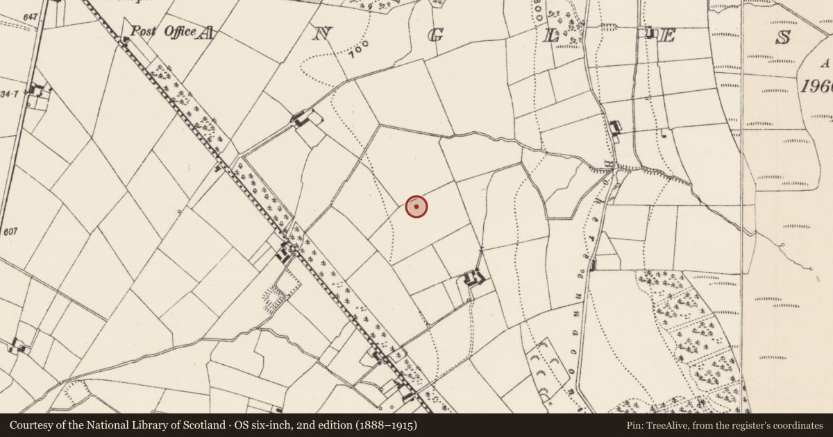 Ordnance Survey six-inch map, 2nd edition (1888–1915) covering the location of Fulacht fia, Anglesborough, County Limerick, with a pin at the register's coordinates
