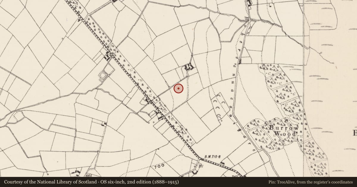 Ordnance Survey six-inch map, 2nd edition (1888–1915) covering the location of Fulacht fia, Anglesborough, County Limerick, with a pin at the register's coordinates