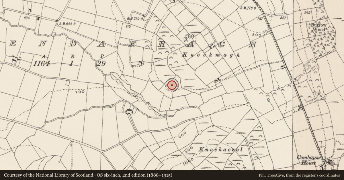 Ordnance Survey six-inch map, 2nd edition (1888–1915) covering the location of Enclosure, Lackendarragh, County Limerick, with a pin at the register's coordinates