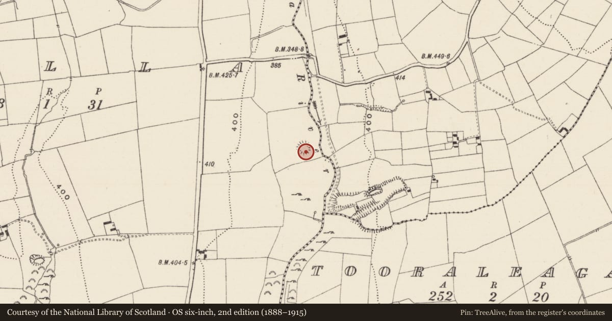 Ordnance Survey six-inch map, 2nd edition (1888–1915) covering the location of Enclosure, Tulla, County Limerick, with a pin at the register's coordinates