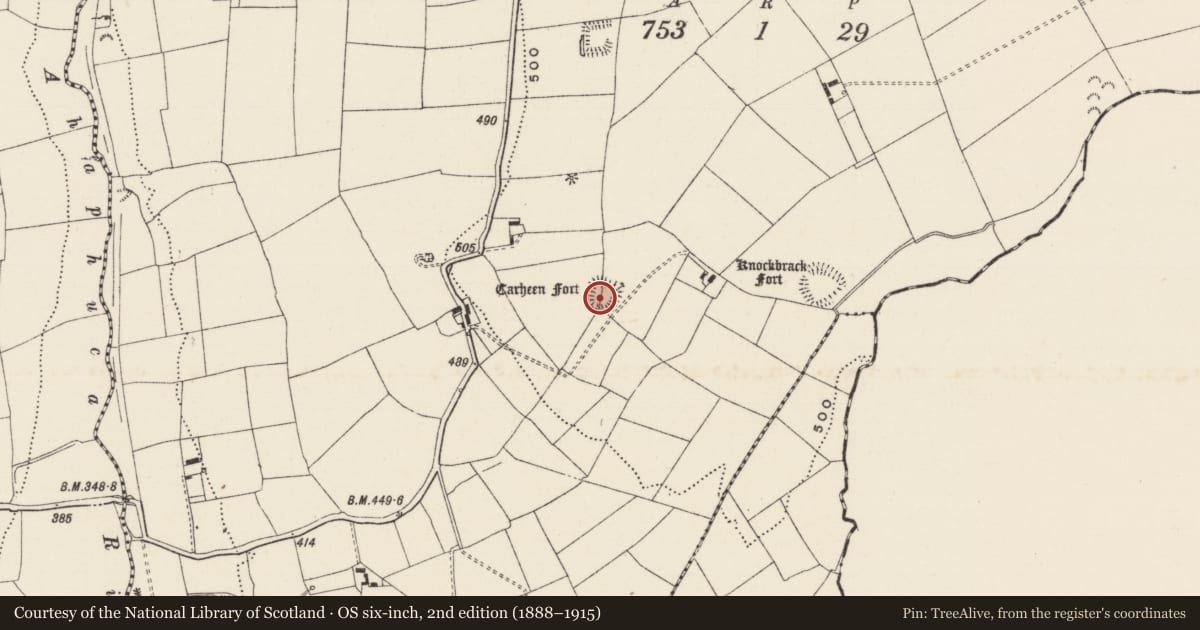 Ordnance Survey six-inch map, 2nd edition (1888–1915) covering the location of Moated site, Cullane South, County Limerick, with a pin at the register's coordinates
