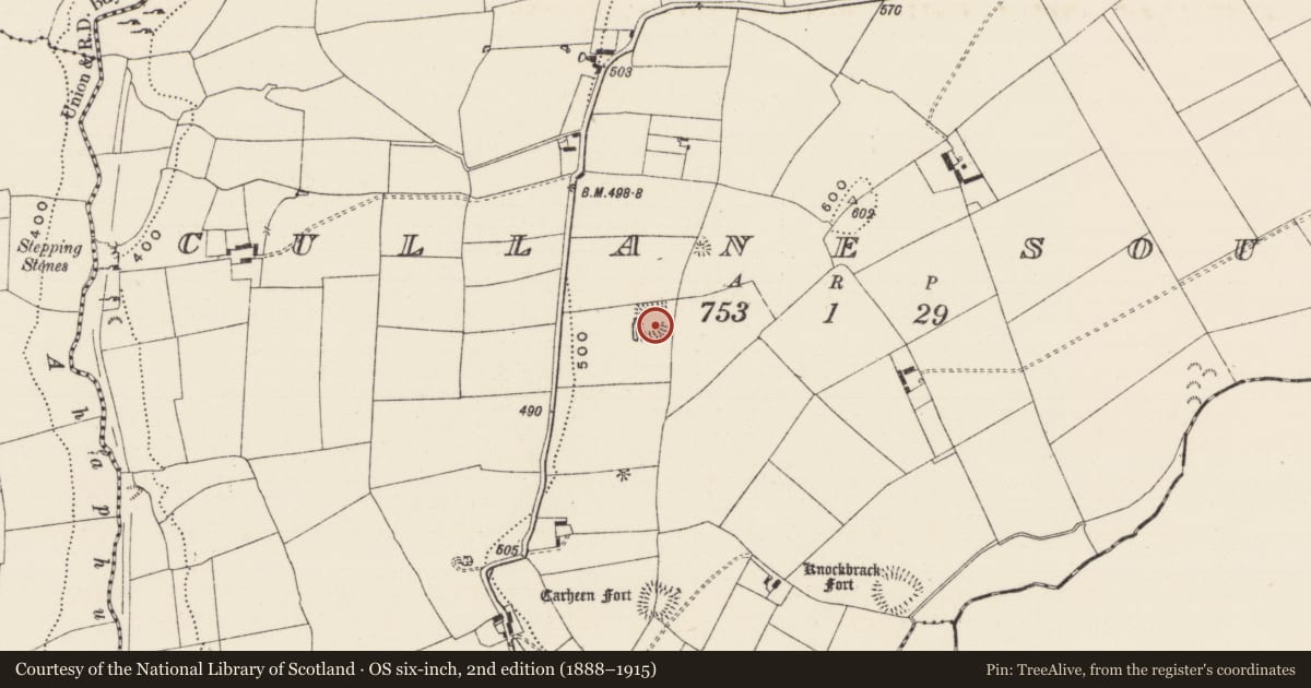Ordnance Survey six-inch map, 2nd edition (1888–1915) covering the location of Moated site, Cullane South, County Limerick, with a pin at the register's coordinates