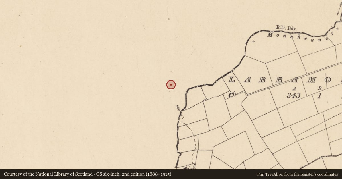 Ordnance Survey six-inch map, 2nd edition (1888–1915) covering the location of Ringfort - rath, Cullane South, County Limerick, with a pin at the register's coordinates