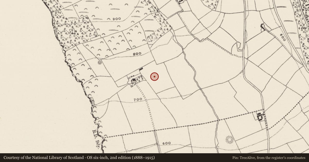 Ordnance Survey six-inch map, 2nd edition (1888–1915) covering the location of Kiln - lime, Coolnamohoge, County Limerick, with a pin at the register's coordinates