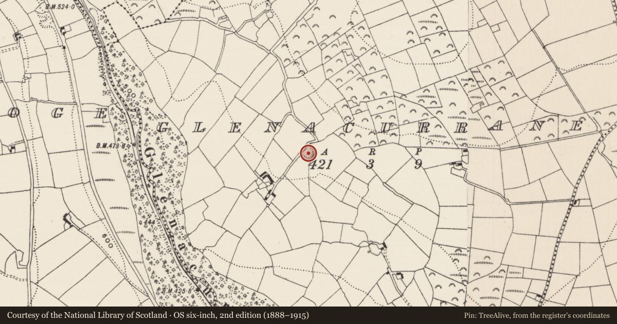 Ordnance Survey six-inch map, 2nd edition (1888–1915) covering the location of Moated site, Glenacurrane, County Limerick, with a pin at the register's coordinates