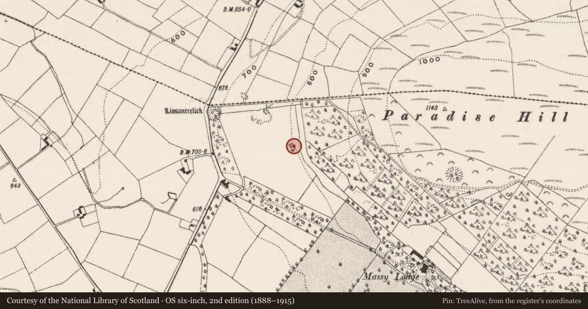 Ordnance Survey six-inch map, 2nd edition (1888–1915) covering the location of Designed landscape - tree-ring, Anglesborough, County Limerick, with a pin at the register's coordinates