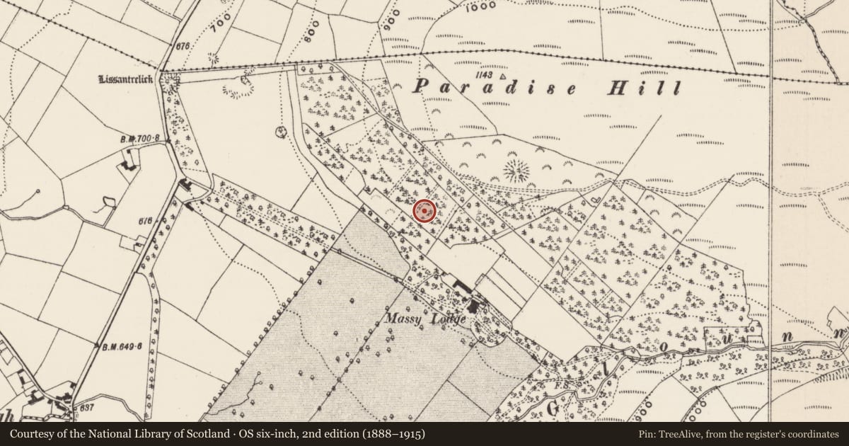 Ordnance Survey six-inch map, 2nd edition (1888–1915) covering the location of Earthwork, Anglesborough, County Limerick, with a pin at the register's coordinates